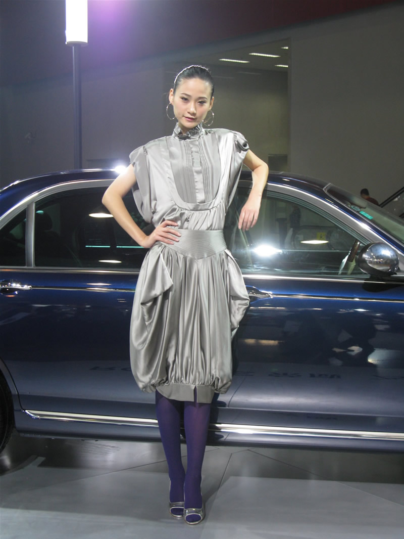 Illustration for article titled The Booth Professionals of the 2008 Guangzhou International Auto Show